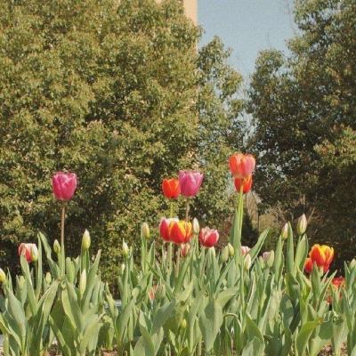 kaiyun·体育app下载