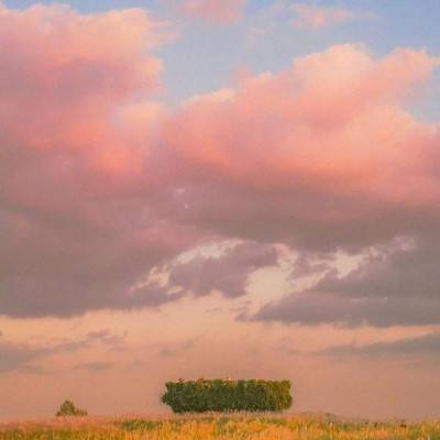 澳门新葡萄新京8883