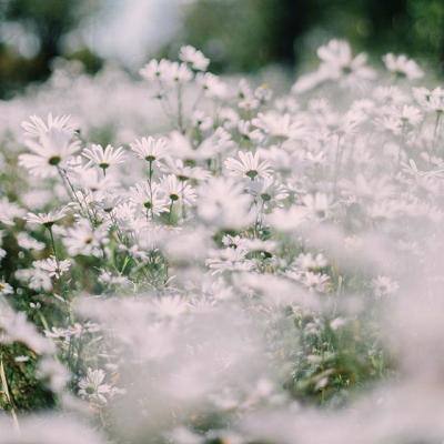 皇冠正规娱乐平台(官方)