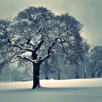 BOB·体育综合(综合)APP下载安装