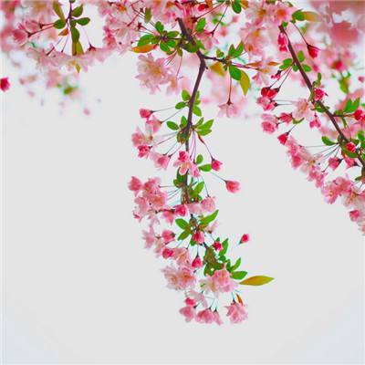 彩神手机app下载